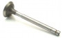 Valve, Inlet and Exhaust B6940